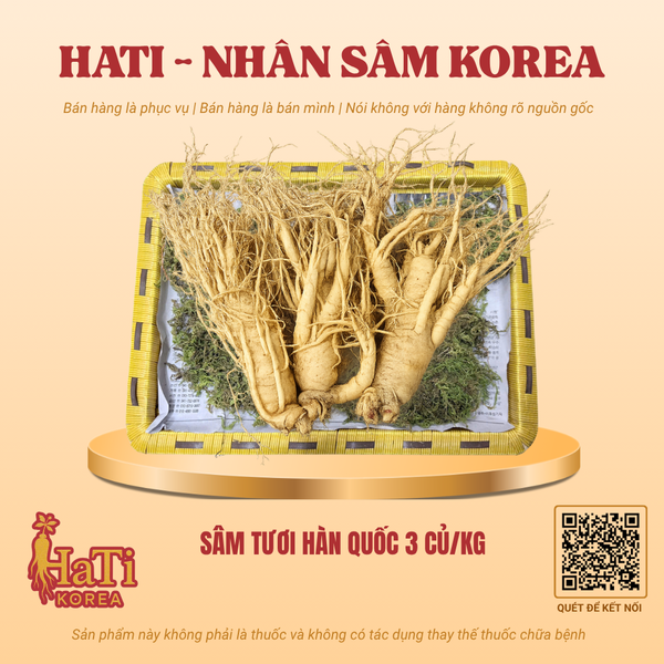 Sâm Tươi Hàn Quốc 3 Củ/Kg