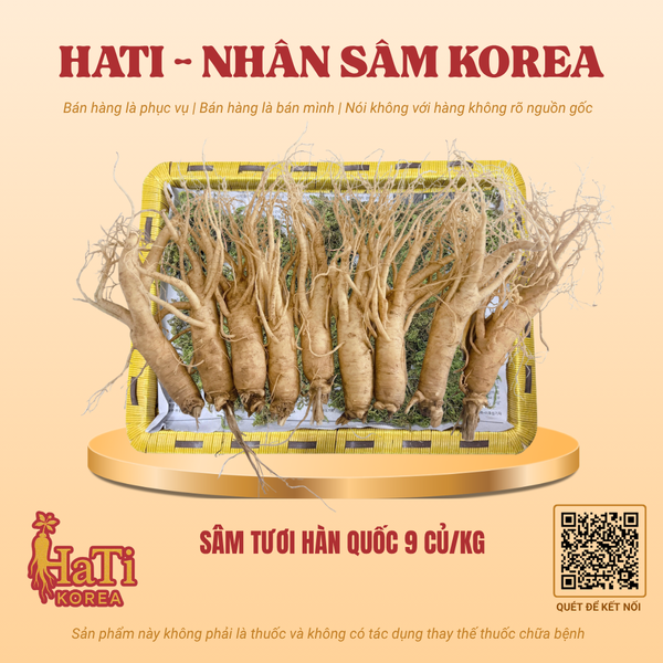 Sâm Tươi Hàn Quốc 9 Củ/Kg