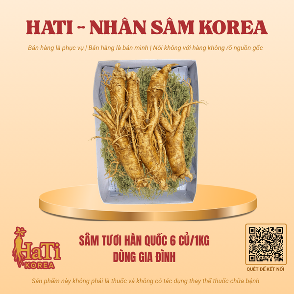 Sâm Tươi Hàn Quốc 6 Củ/Kg - Dùng Gia Đình