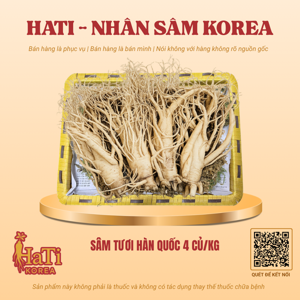 Sâm Tươi Hàn Quốc 4 Củ/Kg