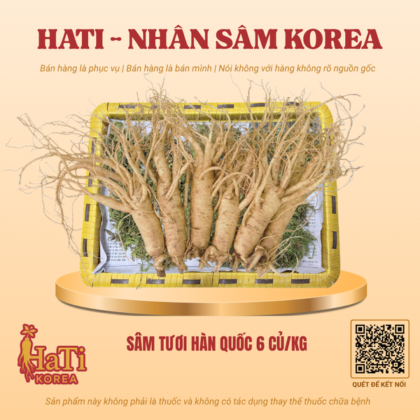 Sâm Tươi Hàn Quốc 6 Củ/Kg