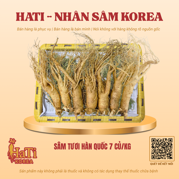 Sâm Tươi Hàn Quốc 7 Củ/Kg