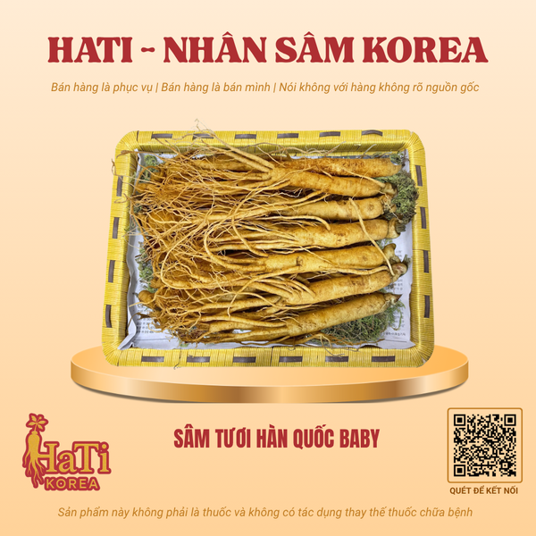 Sâm Tươi Hàn Quốc Baby
