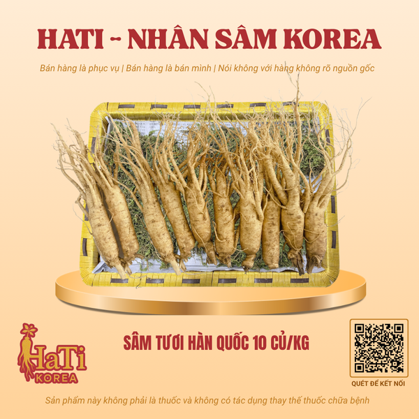 Sâm Tươi Hàn Quốc 10 Củ/Kg
