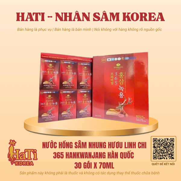 Nước Hồng Sâm Nhung Hươu Linh Chi 365 Hankwanjang Hàn Quốc 30 Gói x 70ml