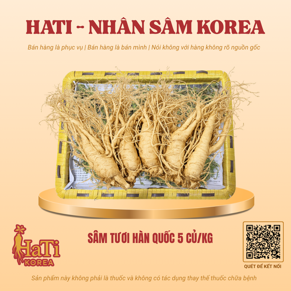 Sâm Tươi Hàn Quốc 5 Củ/Kg