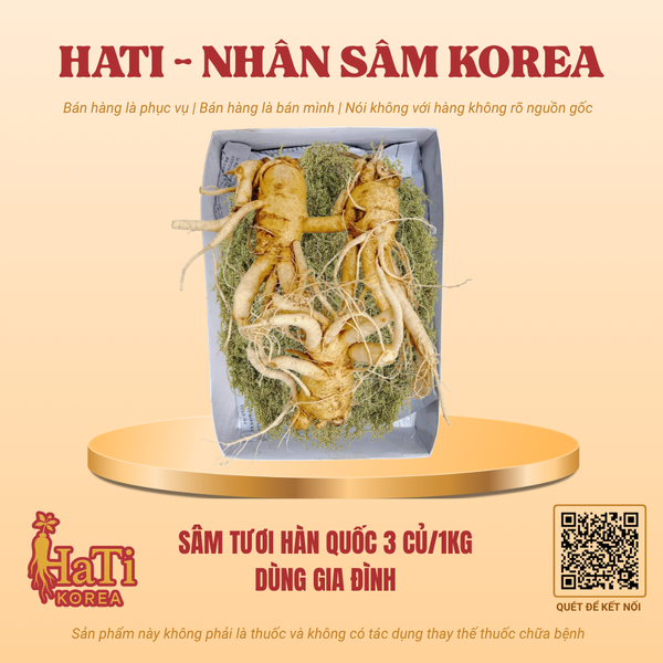 Sâm Tươi Hàn Quốc 3 Củ/Kg - Dùng Gia Đình
