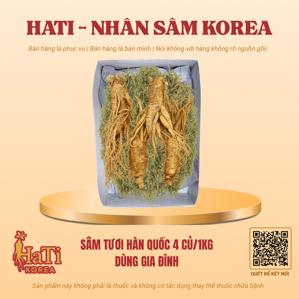 Sâm Tươi Hàn Quốc 4 Củ/Kg - Dùng Gia Đình