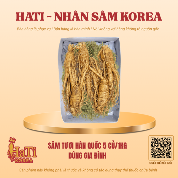 Sâm Tươi Hàn Quốc 5 Củ/Kg - Dùng Gia Đình