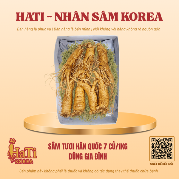 Sâm Tươi Hàn Quốc 7 Củ/Kg - Dùng Gia Đình