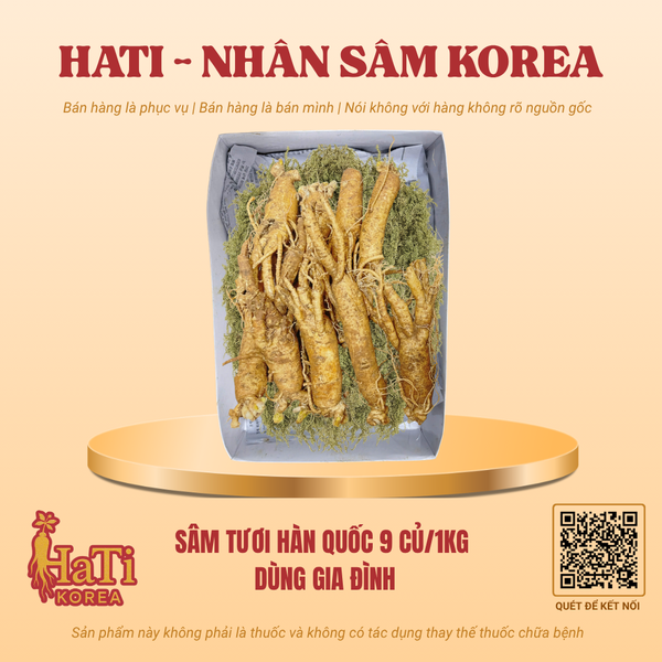 Sâm Tươi Hàn Quốc 9 Củ/Kg - Dùng Gia Đình
