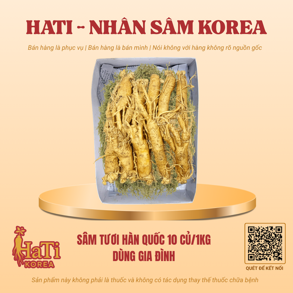 Sâm Tươi Hàn Quốc 10 Củ/Kg - Dùng Gia Đình
